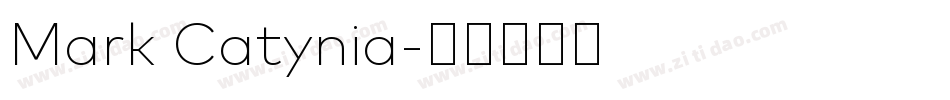 Mark Catynia字体转换